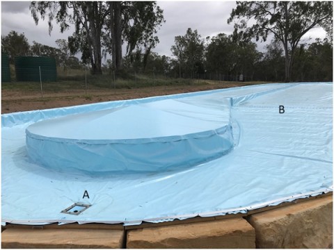 Qponics: Progress on the upgrade of the pilot algae farm in Brisbane into a small-scale production facility